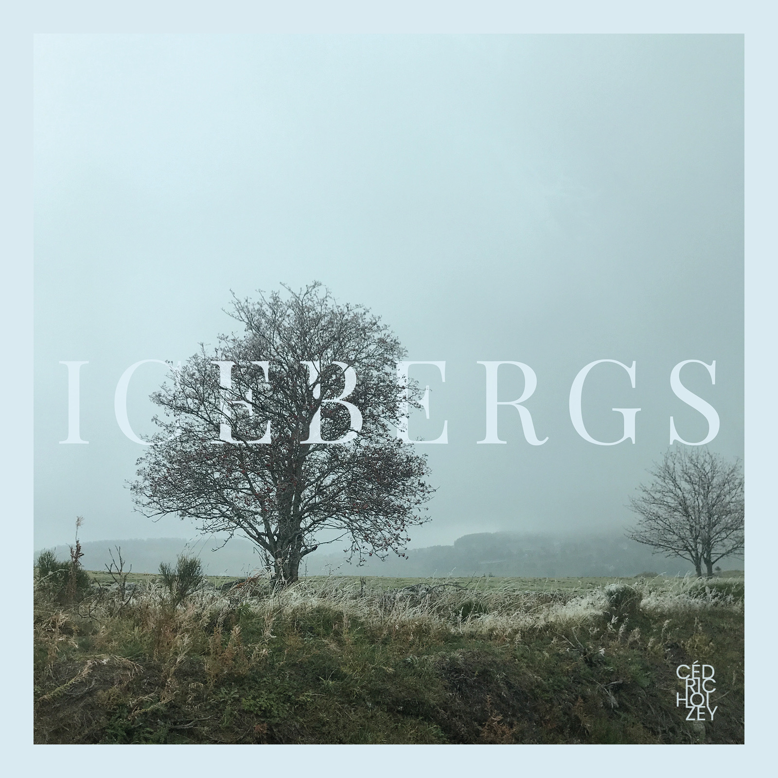 Iceberg